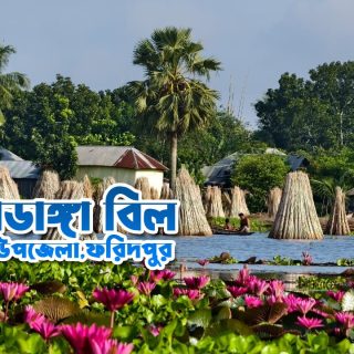 ধোপাডাঙ্গা বিল