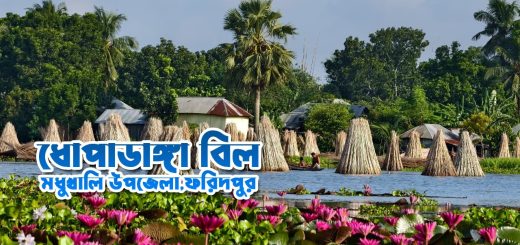 ধোপাডাঙ্গা বিল